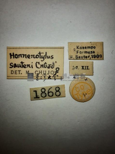 大蕈蟲藏品圖，第2張