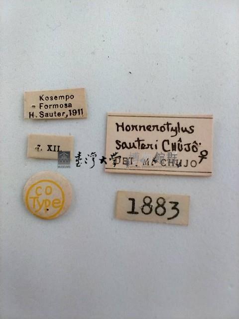 大蕈蟲藏品圖，第2張