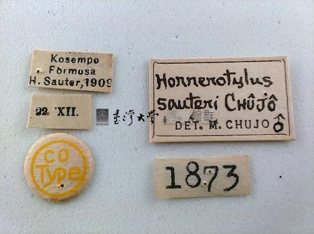 大蕈蟲藏品圖，第2張