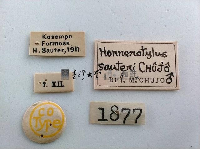 大蕈蟲藏品圖，第2張