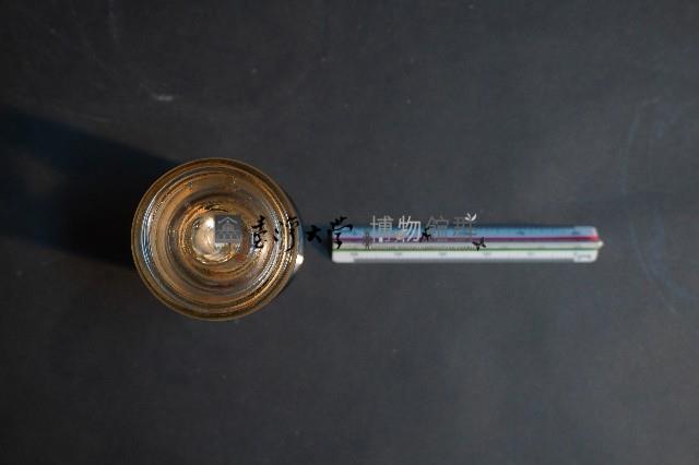 嚙齒類胎兒藏品圖，第5張