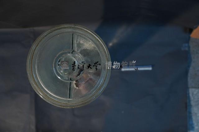 植物性神經系統(貓)藏品圖，第5張