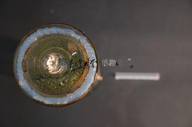 脊椎動物腦之比較藏品圖，第5張