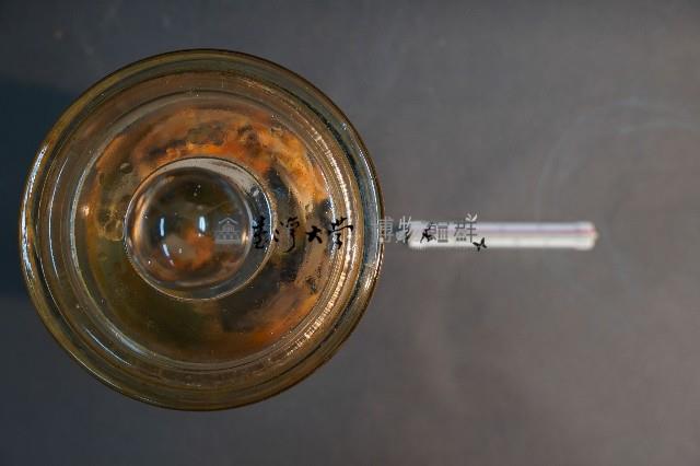 臺灣穿山甲的內部器官藏品圖，第5張