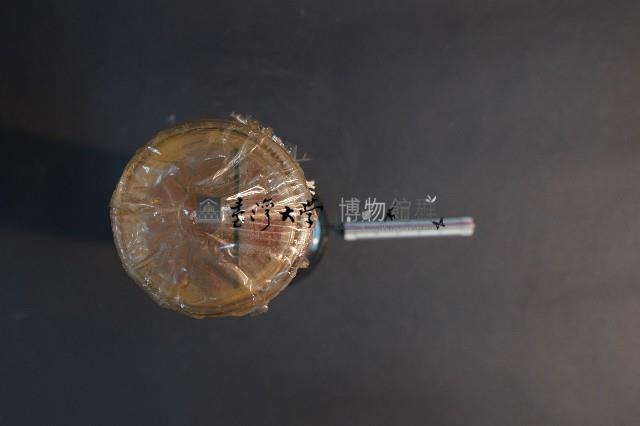 脊椎動物心臟藏品圖，第5張