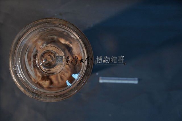 嚙齒類藏品圖，第5張