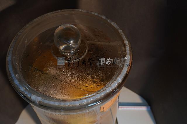 家兔藏品圖，第5張