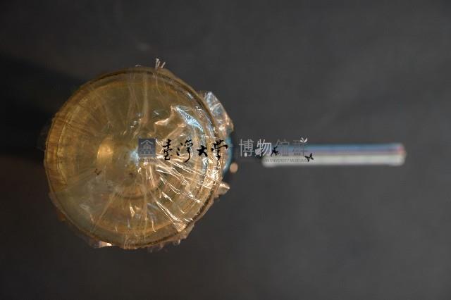 哺乳類關節構造藏品圖，第5張