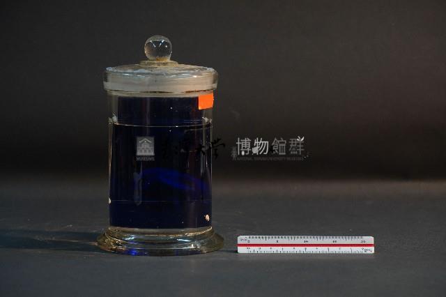 臺灣穿山甲的胚胎藏品圖，第4張