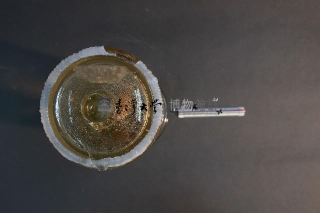 蝙蝠藏品圖，第4張