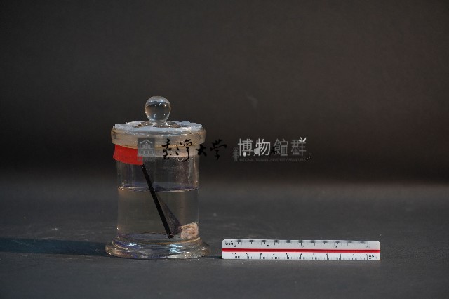 臺灣穿山甲的胎兒在母體內發育過程藏品圖，第4張