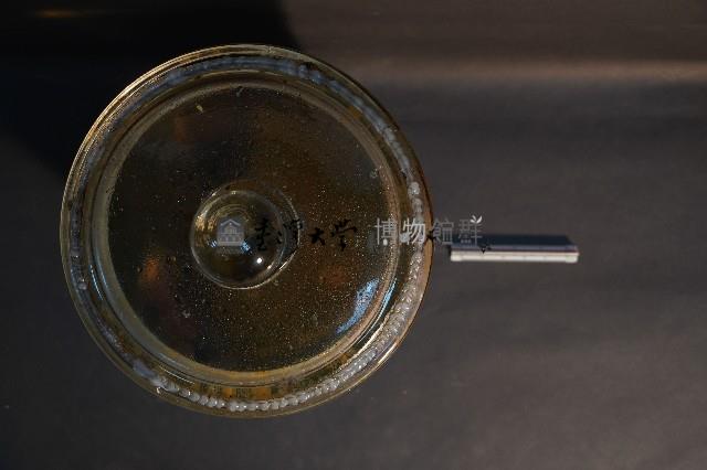 鬼鼠的解剖藏品圖，第5張