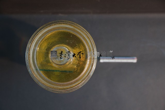 犬耳之解剖藏品圖，第5張