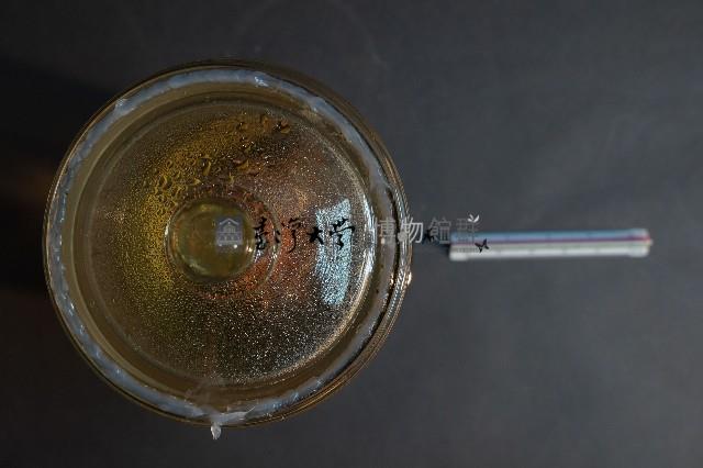 蝙蝠藏品圖，第5張