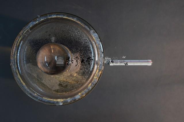 羊的胚胎藏品圖，第5張