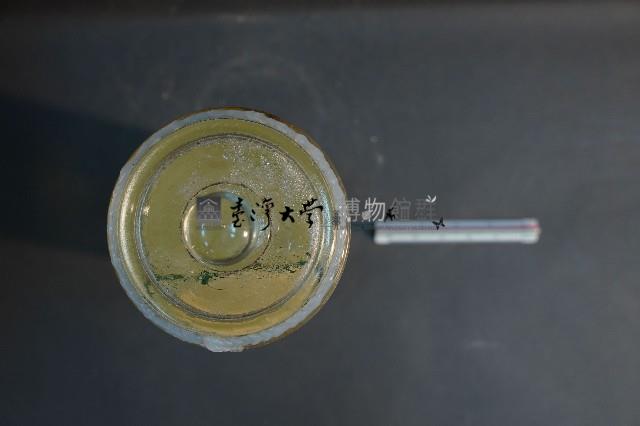 狗腦的解剖藏品圖，第5張