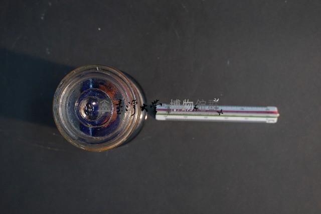 嚙齒類的胚胎藏品圖，第5張