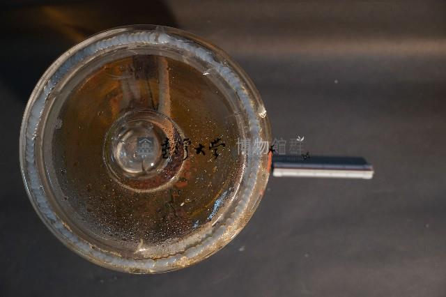 赤腹松鼠的切面藏品圖，第5張