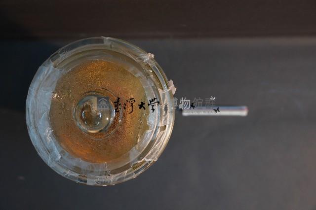 犬之頭骨切面藏品圖，第5張