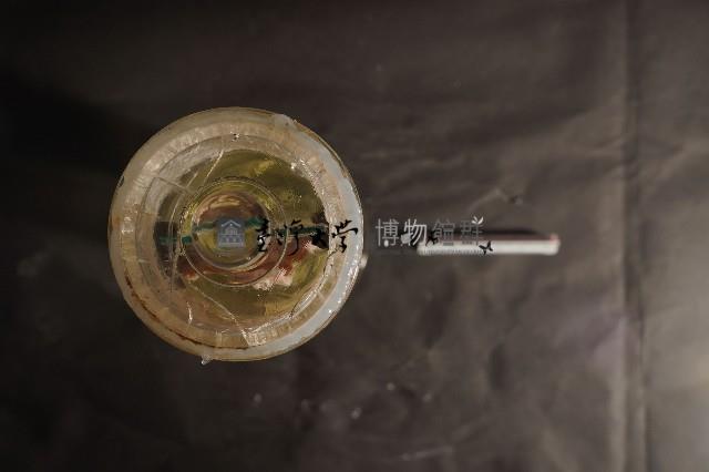 犬之咽喉藏品圖，第5張