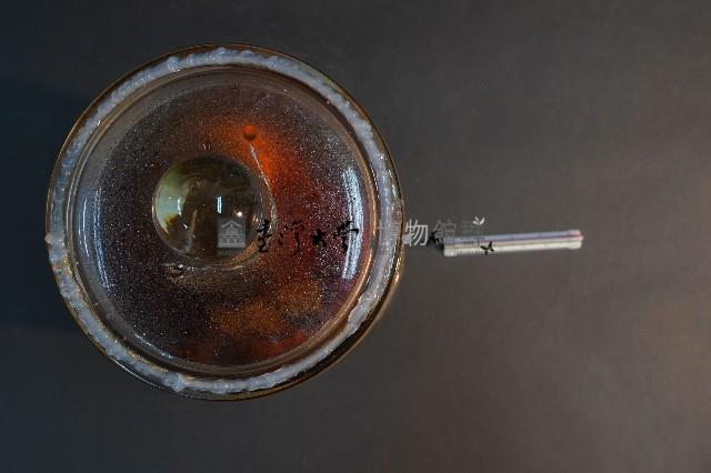 麝香貓藏品圖，第5張