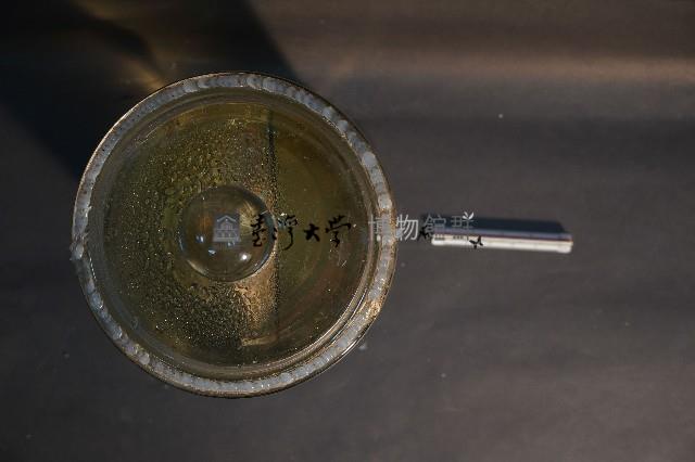 家犬(軀幹部橫切面)藏品圖，第5張