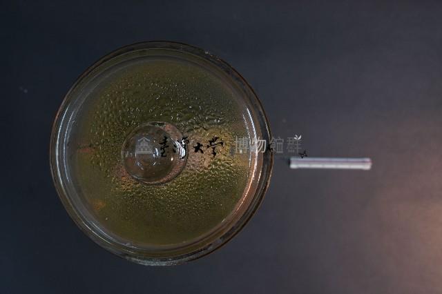 兔的解剖藏品圖，第5張