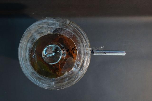 狐蝠藏品圖，第5張