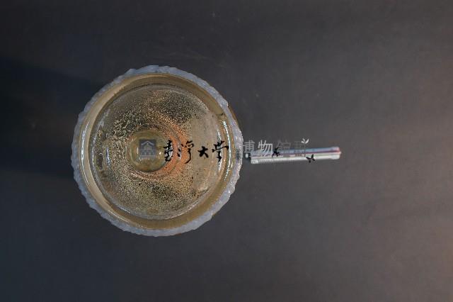 蝙蝠藏品圖，第5張