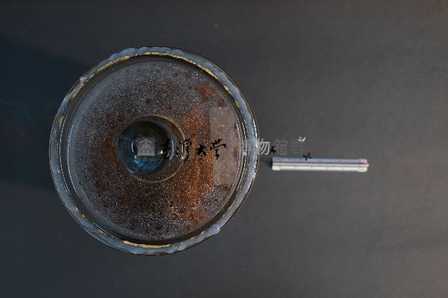 哺乳類的內部器官藏品圖，第5張