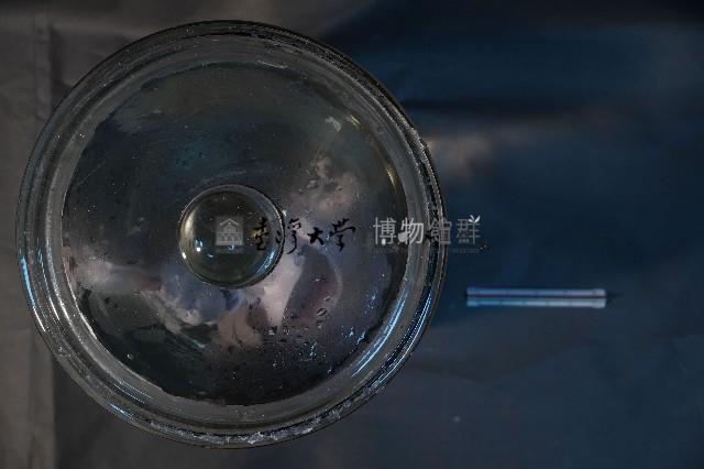 哺乳動物的內部器官藏品圖，第5張