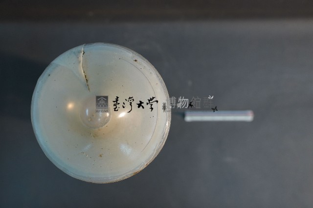 貓與狗之內分泌器官藏品圖，第5張