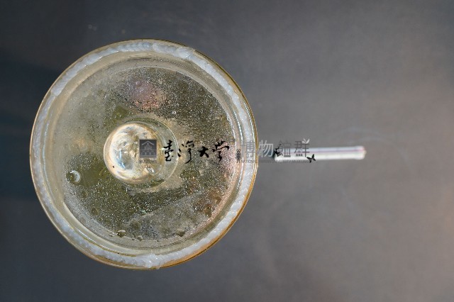 袋鼠之排泄系統藏品圖，第5張