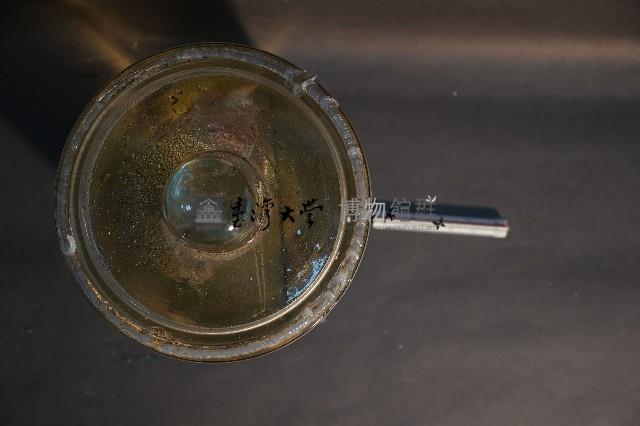 家犬(腿之切面)藏品圖，第5張