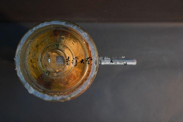 貓之前肢藏品圖，第5張