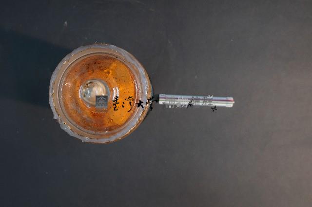 臺灣穿山甲胎兒(含子宮)藏品圖，第5張