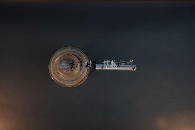 珍珠貝藏品圖，第5張