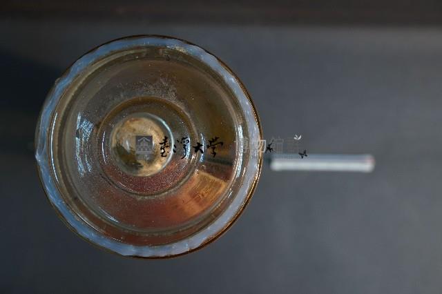 貓之消化系統解剖藏品圖，第5張