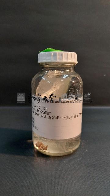 青螺藏品圖，第1張