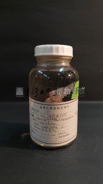 偕老同穴藏品圖，第1張