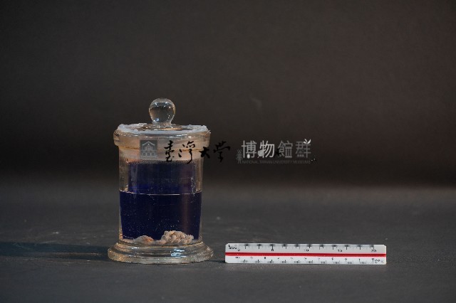 臺灣穿山甲的胎兒在母體內發育過程藏品圖，第1張
