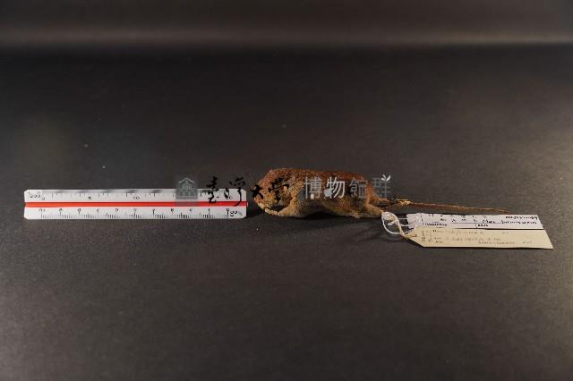 月鼠藏品圖，第1張