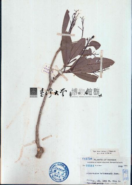 北油丹藏品圖，第1張