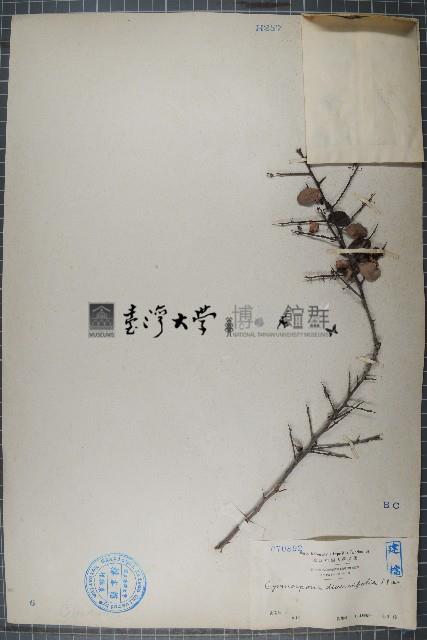 刺裸實、北仲藏品圖，第1張