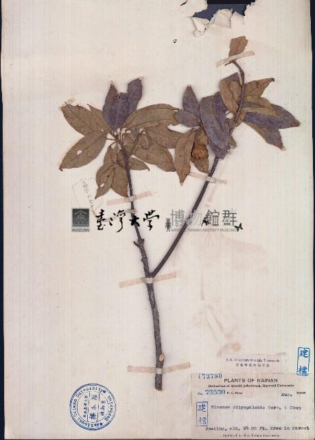 猴歡喜藏品圖，第1張