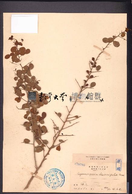 刺裸實、北仲藏品圖，第1張