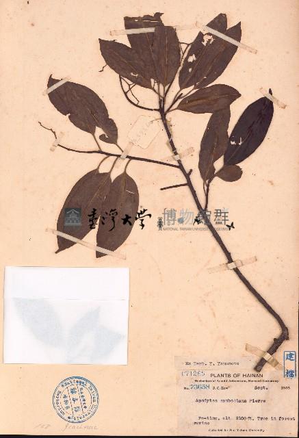 柴龍樹藏品圖，第1張