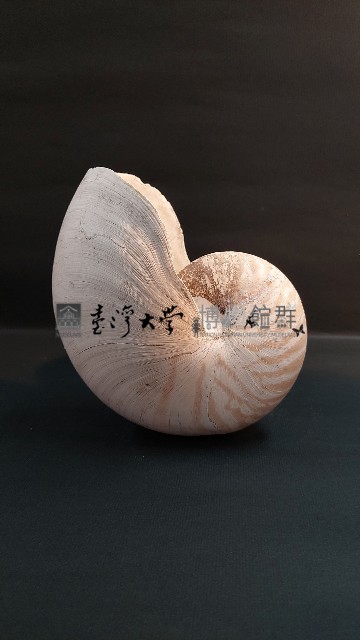 鸚鵡螺藏品圖，第3張