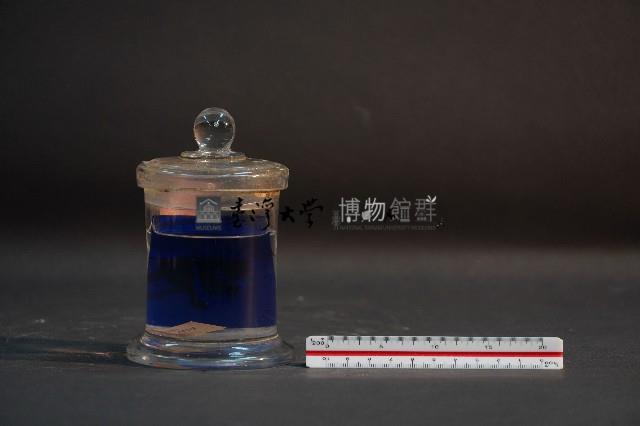 嚙齒類的胚胎藏品圖，第3張