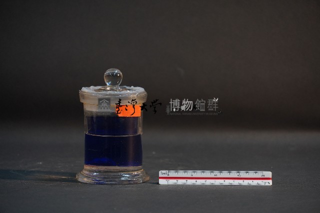 臺灣穿山甲的胎兒在母體內發育過程藏品圖，第3張